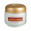 Gel anti-âge de jour Liposomial Well-Aging LIPOSOMIAL ANTIENVEJECIMIENTO 50 ml